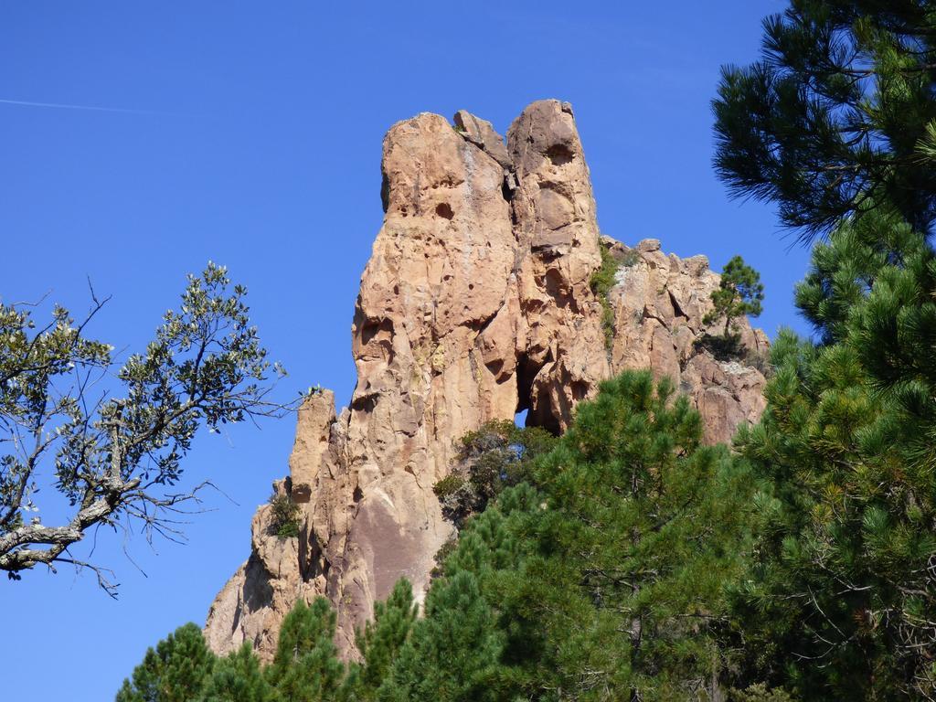 Chambres D'Hotes Vue Mer L'Esterel Panoramique Saint-Jean-de-l'Esterel 외부 사진