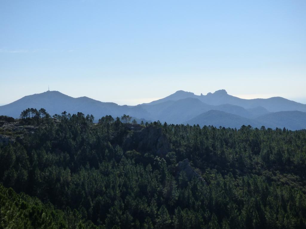 Chambres D'Hotes Vue Mer L'Esterel Panoramique Saint-Jean-de-l'Esterel 외부 사진